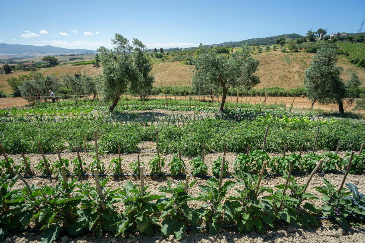 Agriturismo Cappellese Castelnuovo della Misericordia ภายนอก รูปภาพ