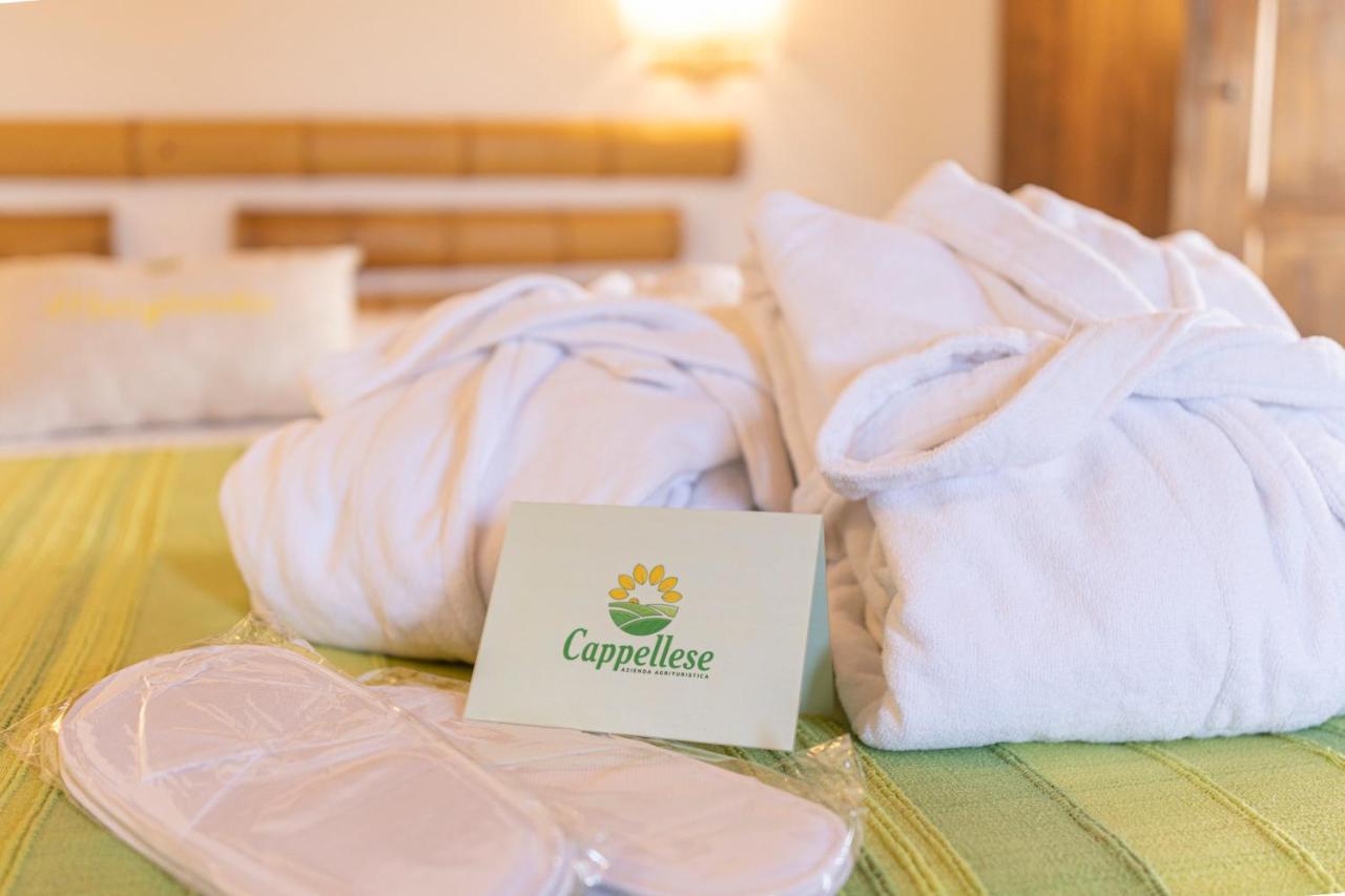 Agriturismo Cappellese Castelnuovo della Misericordia ภายนอก รูปภาพ