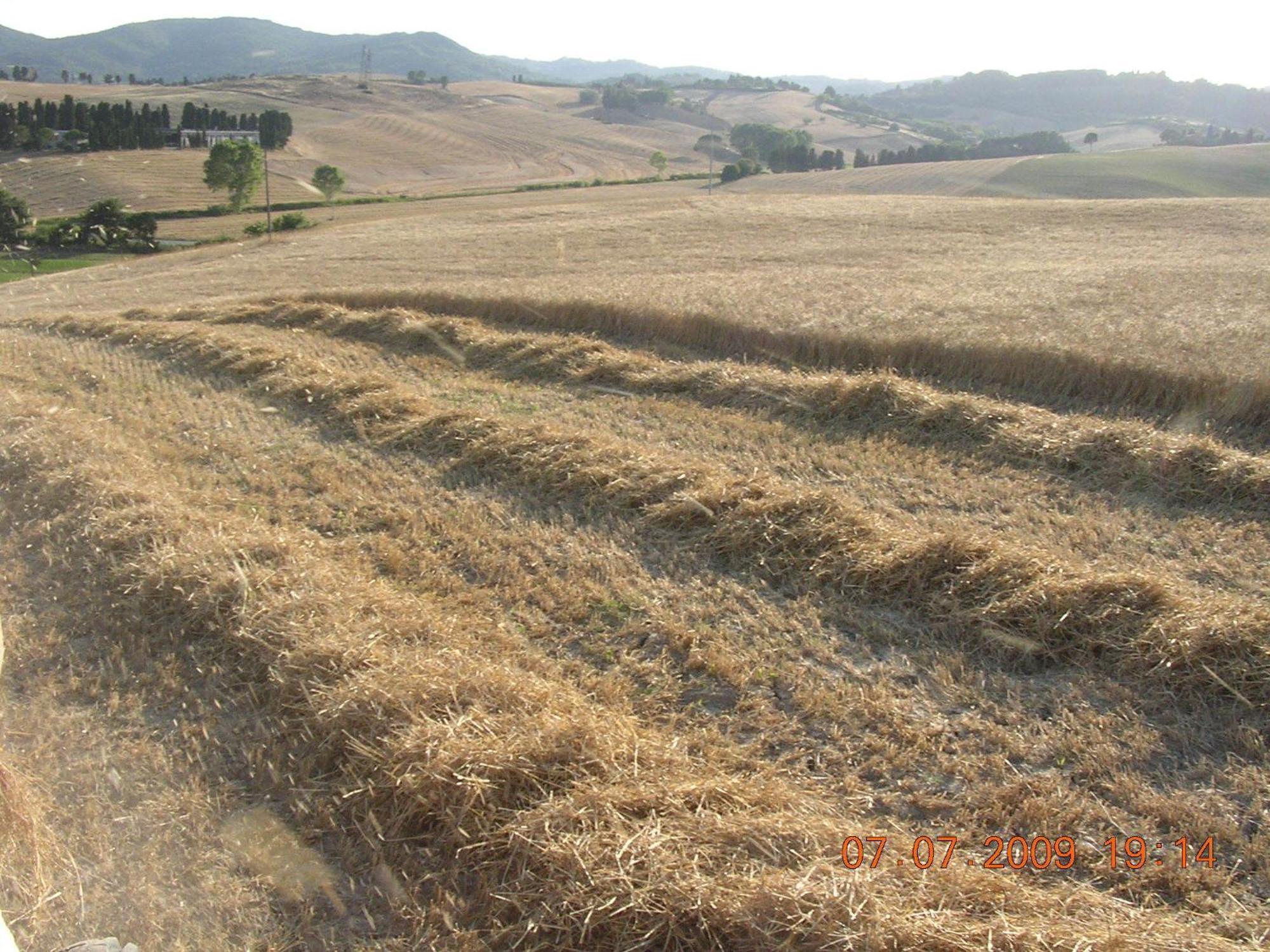 Agriturismo Cappellese Castelnuovo della Misericordia ภายนอก รูปภาพ
